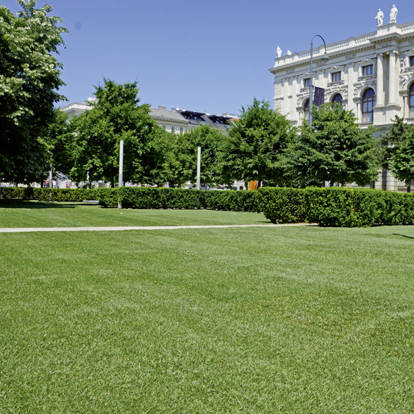 Iser Marchfeldrasen  - Unternehmen - Herbstarbeit! Der Herbst ist nicht nur die Jahreszeit,wo Sie noch einmal so richtig Ihren Garten genießen können, es ist auch die Zeit des Kräftesammelns und de...